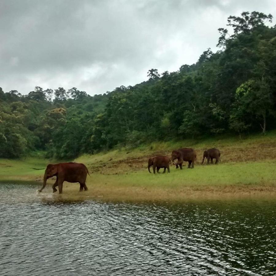 Spice Villa Thekkady Exterior photo